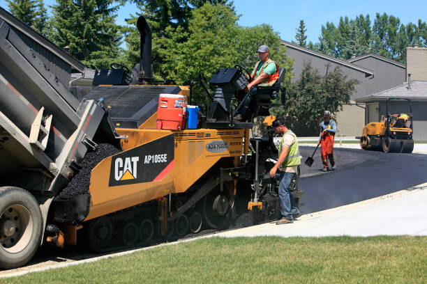 Best Decorative Driveway Pavers in Alamosa, CO